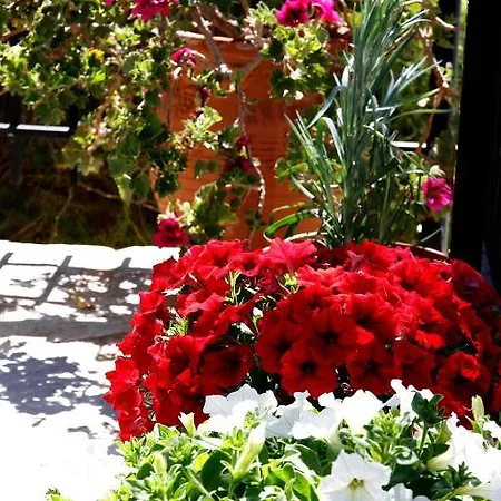 Fexulis Studios & Suites Agios Nikolaos  Kamer foto
